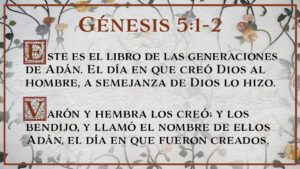 Negligencia harina Lejos Evangelio - Significado de nombres en Génesis 5 | Libertad en Verdad